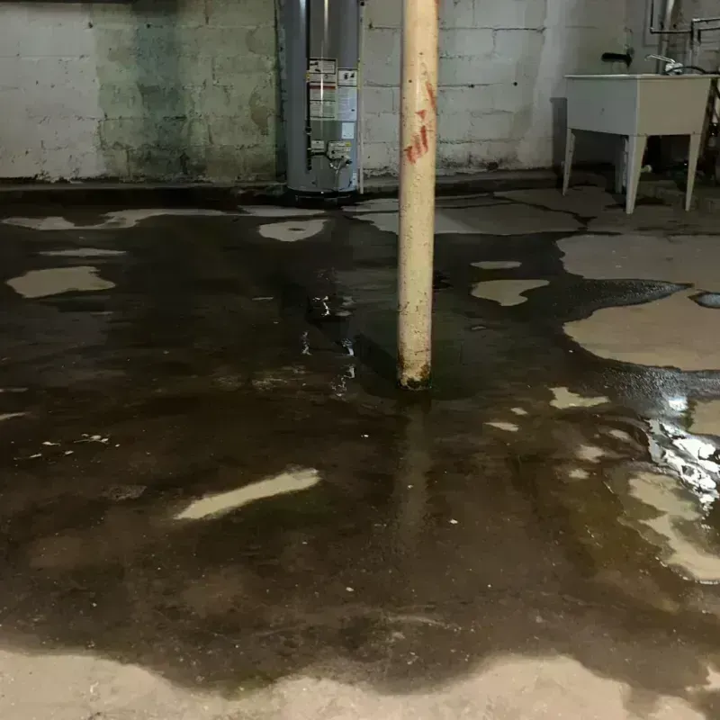 Emergency Water Extraction And Removal in Washington Court House, OH